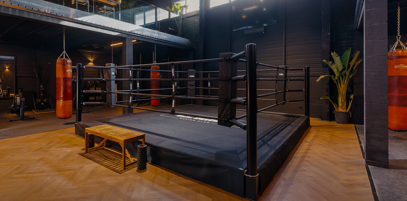Boxer Dans Un Gymnase 02
