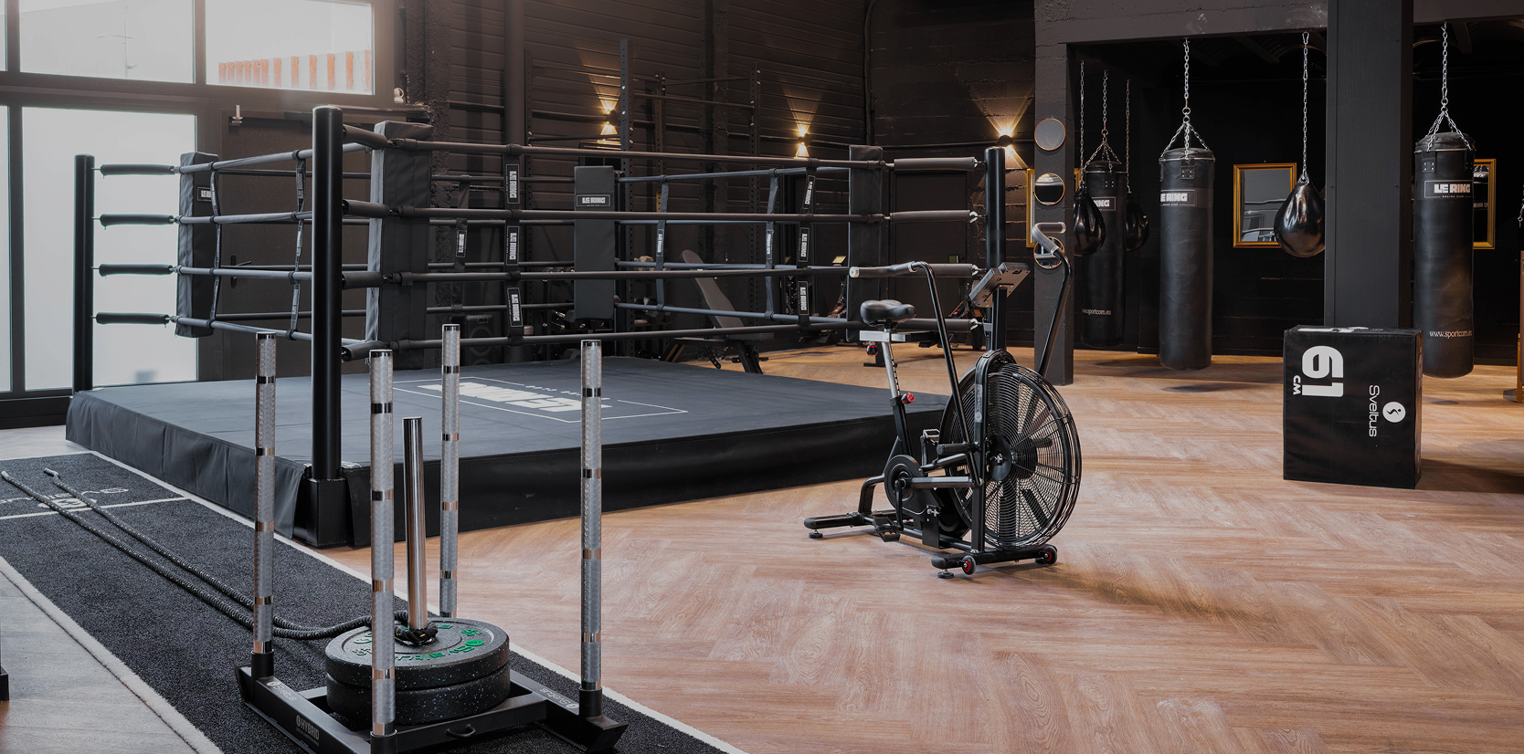 Boxer Dans Un Gymnase